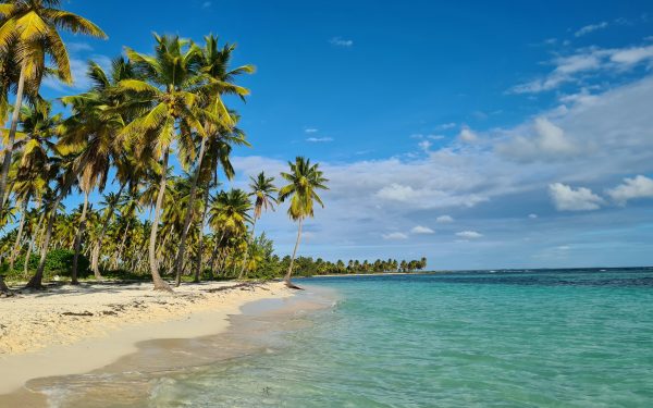 l'Isla Saona,